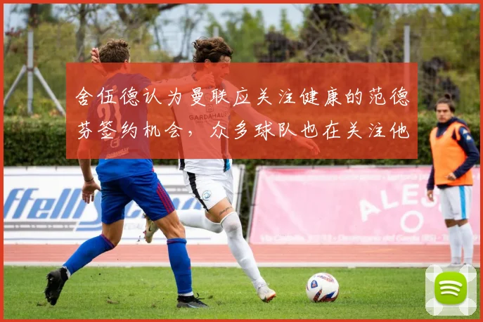 舍伍德认为曼联应关注健康的范德芬签约机会，众多球队也在关注他