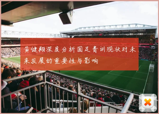 黄健翔深度分析国足青训现状对未来发展的重要性与影响
