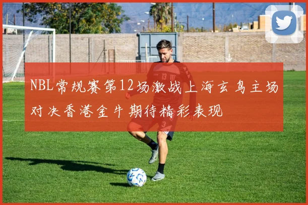 NBL常规赛第12场激战上海玄鸟主场对决香港金牛期待精彩表现