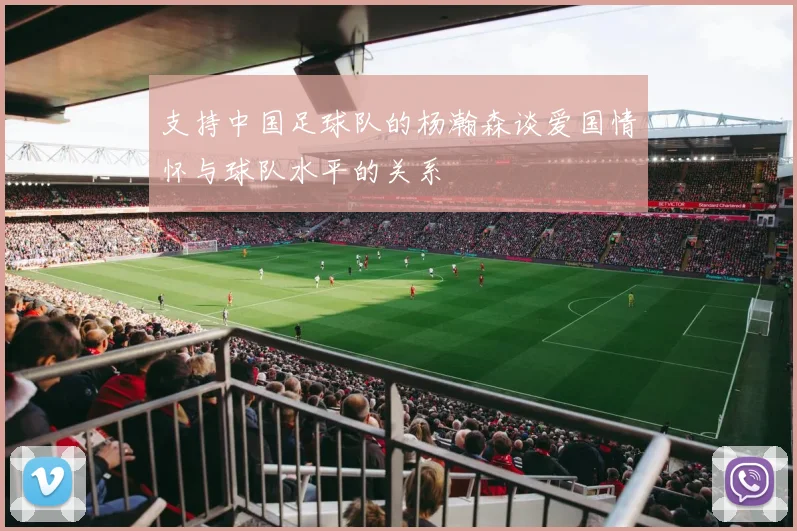 支持中国足球队的杨瀚森谈爱国情怀与球队水平的关系