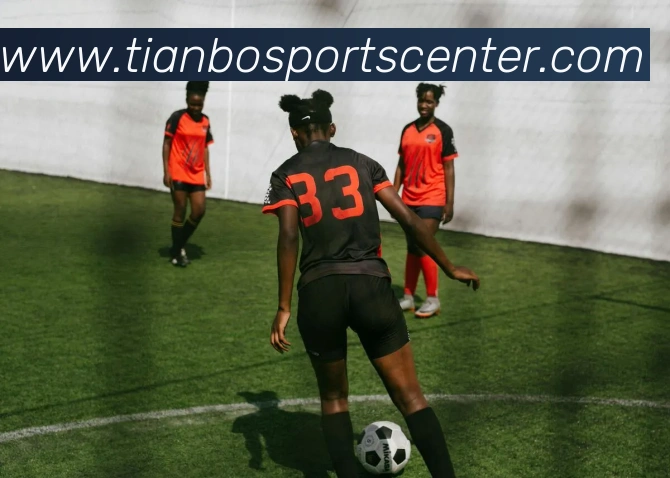 多媒体互动体验